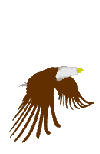 aigle_004.gif